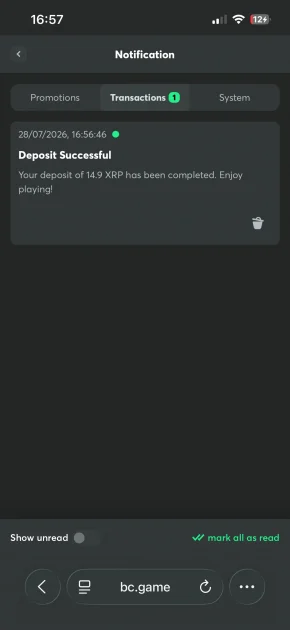 bc game casino deposit