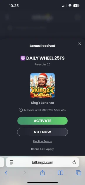 bitkingz casino game