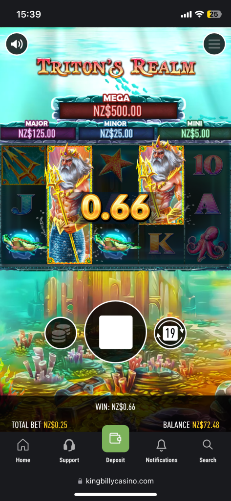 screen