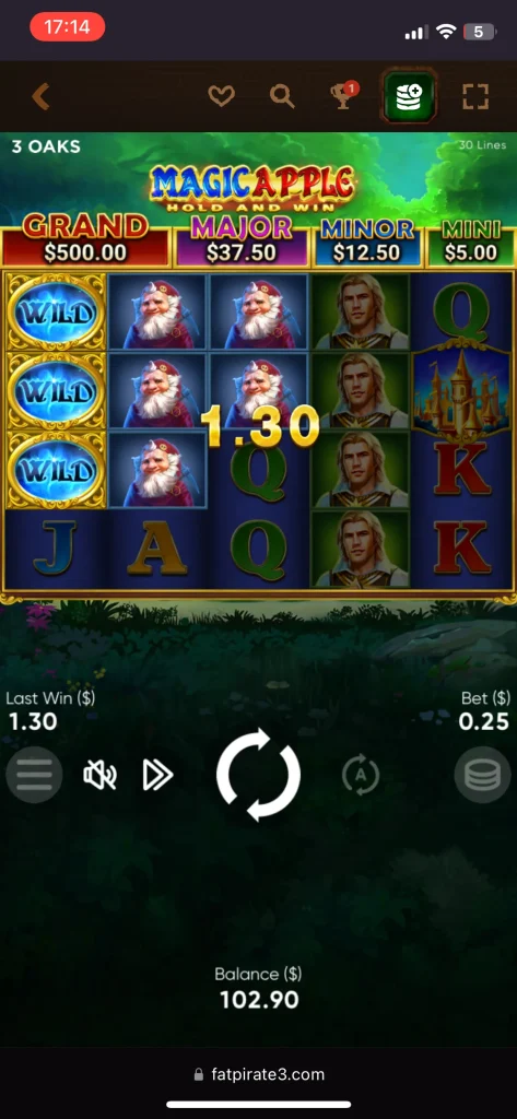 FatPirate Casino Game