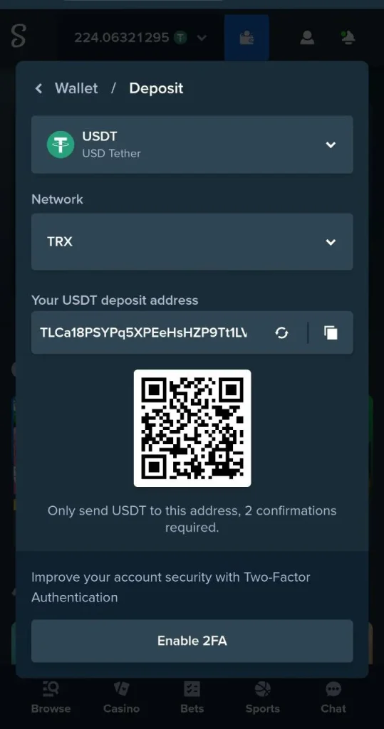 Stake Casino deposit