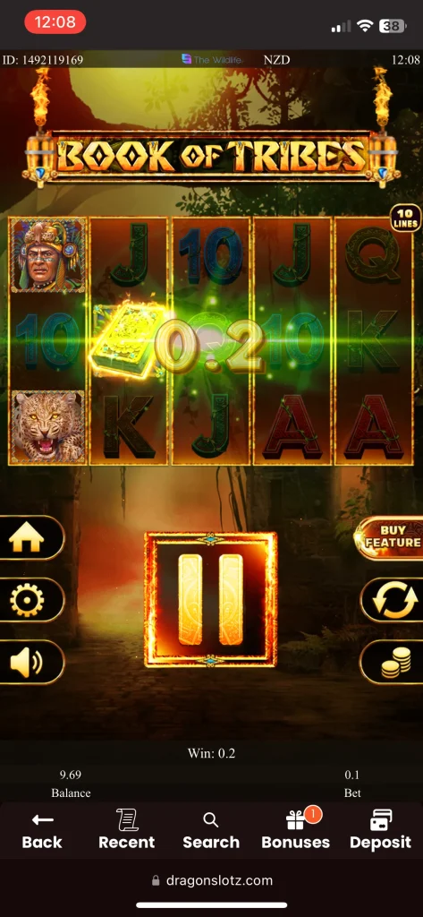 DragonSlots casino game