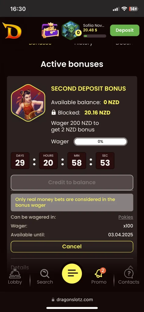 DragonSlots casino bonus