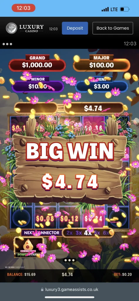 Luxury Casino Game