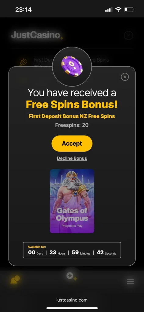 Just Casino FS