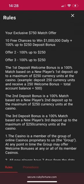 ruby fortune casino rules