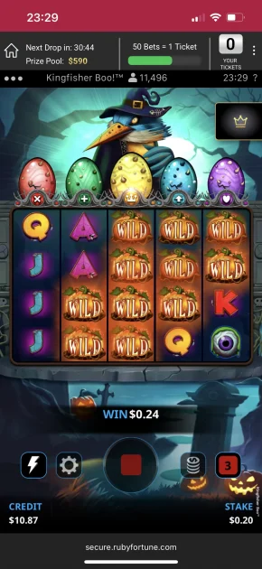 ruby fortune casino game