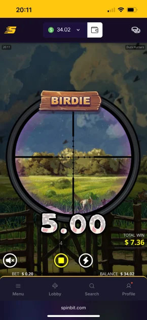 SpinBit Casino Game