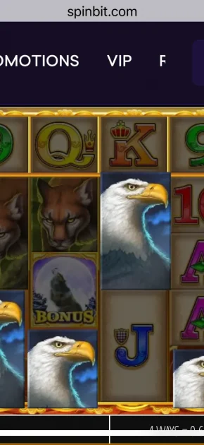 SpinBit Casino Game