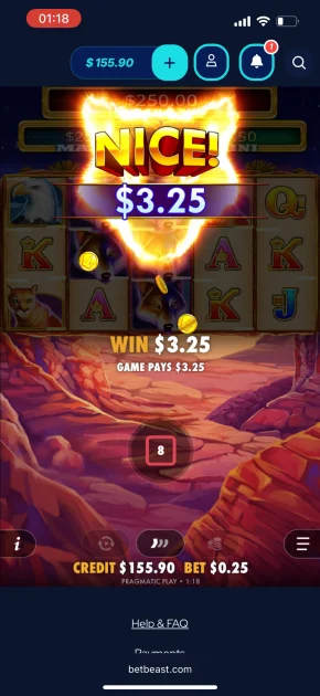 BetBeast Casino game