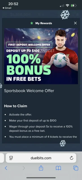 Duelbits Casino Bonus