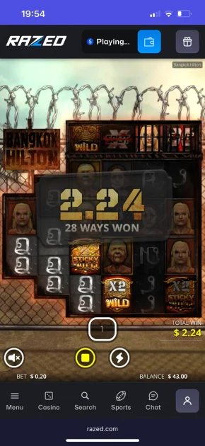 Razed Casino Game