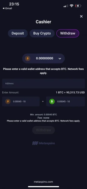 MetaSpins Casino withdraw