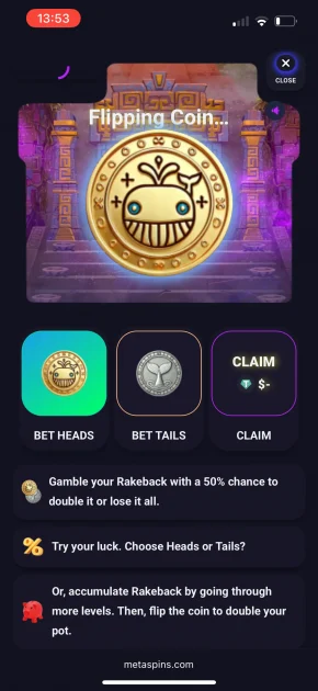 MetaSpins Casino Game