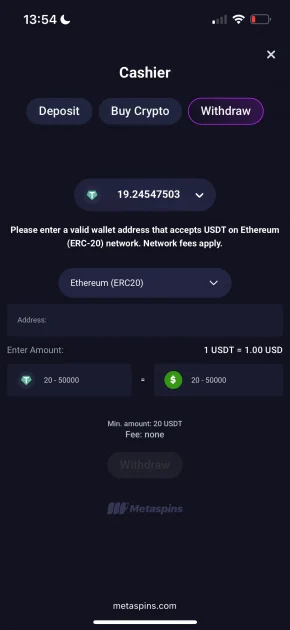 MetaSpins Casino withdraw