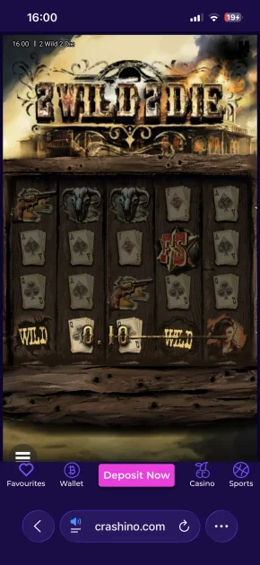 crashino casino 00004