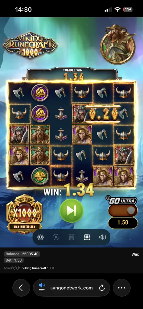 viking runecraft 1000 00004