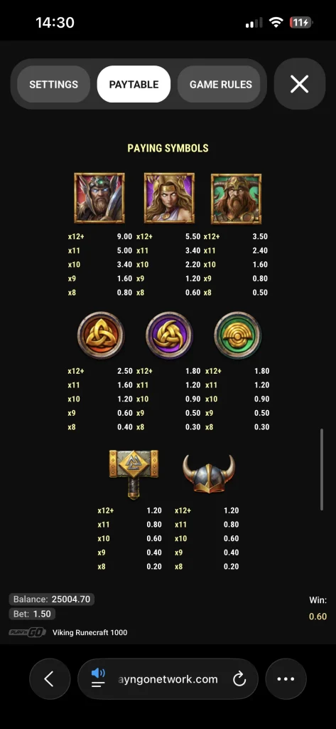 viking runecraft 1000 00006