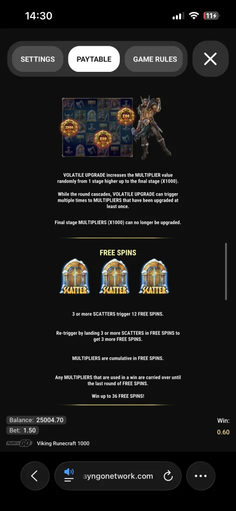 viking runecraft 1000 00007