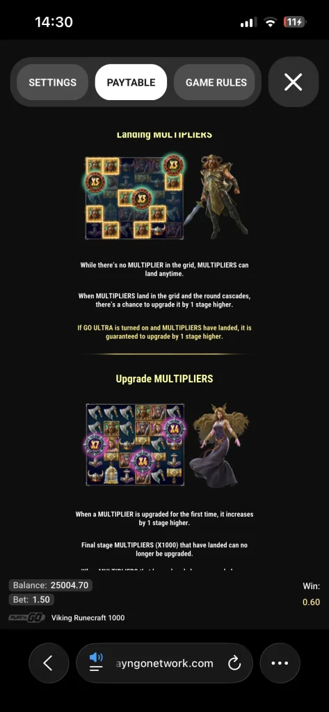 viking runecraft 1000 00008